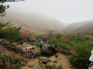 辻の峰への登山道